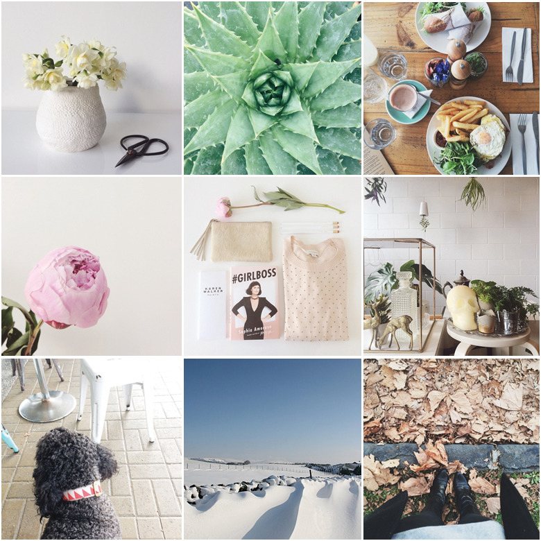 June-Instagram-Roundup-Made-From-Scratch